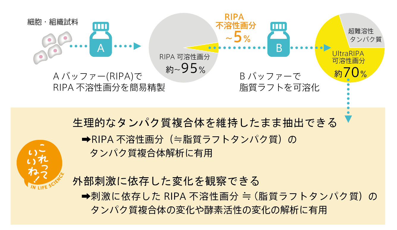 UltraRIPA Kitの特長