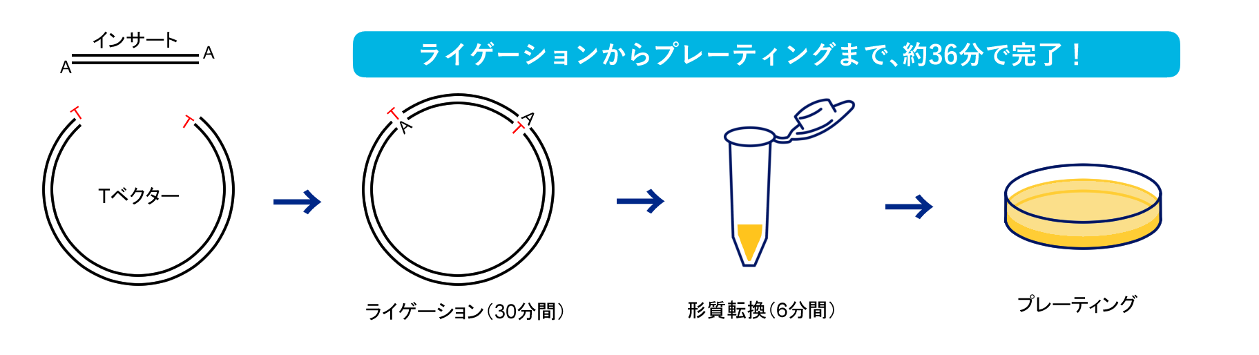 FewBlueの操作方法概略