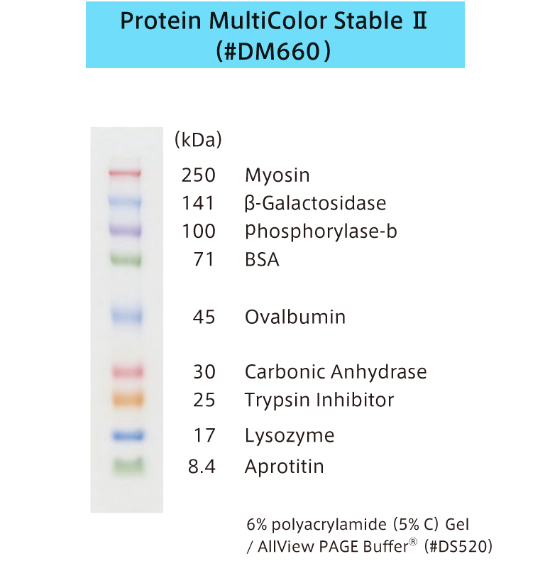 DM660のバンドパターン