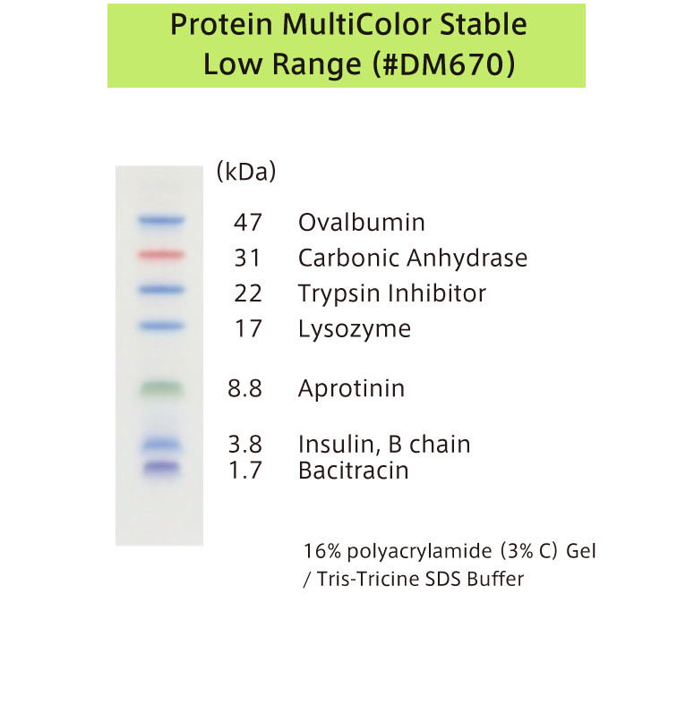 DM670のバンドパターン