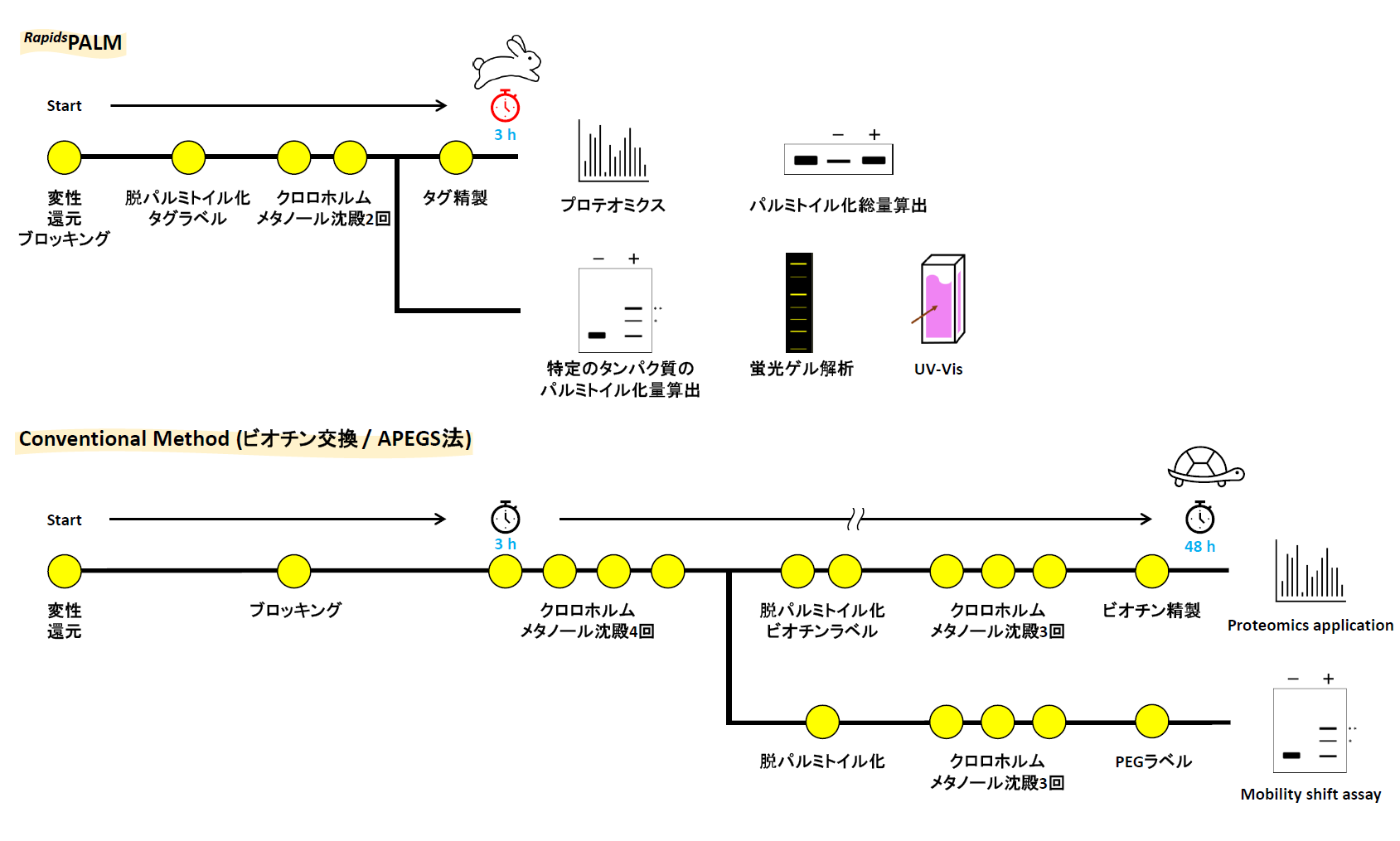 RapidSPALMのワークフロー